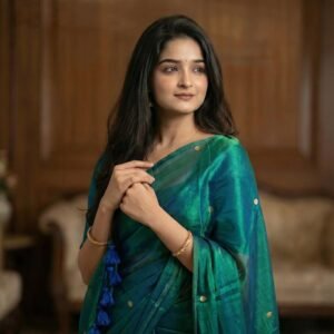 Fancy Sarees